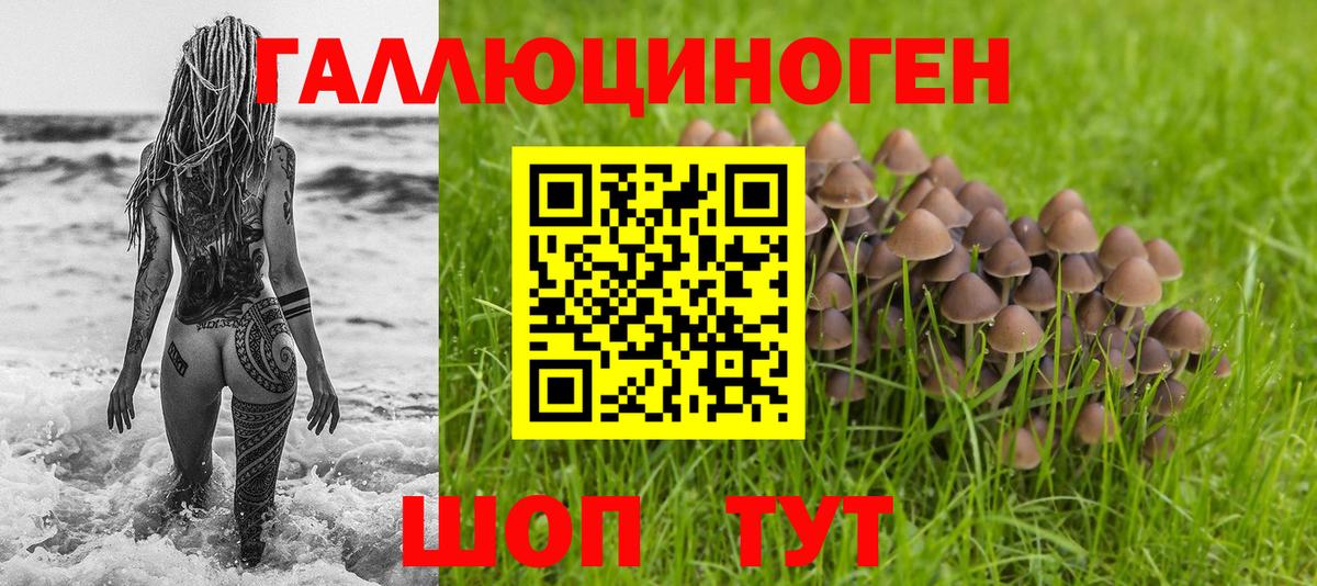 Галлюциногенные грибы ЛСД Щёкино
