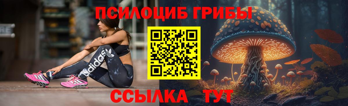 Псилоцибиновые грибы прущие грибы  Вход с VPN  Щёкино 
