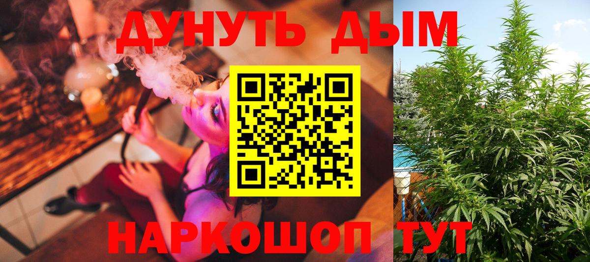 МАРИХУАНА индика Щёкино